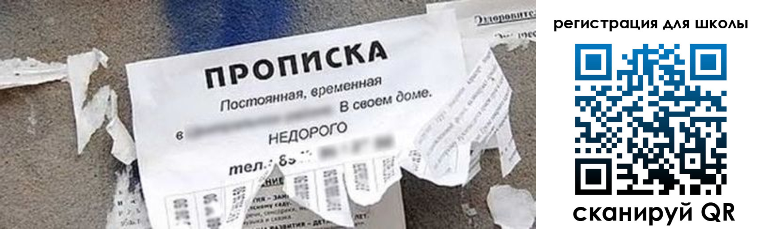 временная регистрация поиск в Балтийске